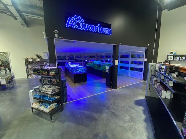 The Aquarium at Eastern Creek